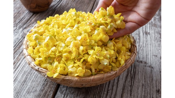 MULLEIN (VERBASCUM DENSIFLORUM): AN OVERVIEW